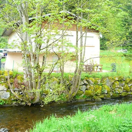 Maison De 4 Chambres Avec Jardin Clos Et Wifi A Longemer A 5 Km Des Pistes Holiday home